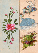 Douceur florale pour Sainte Catherine